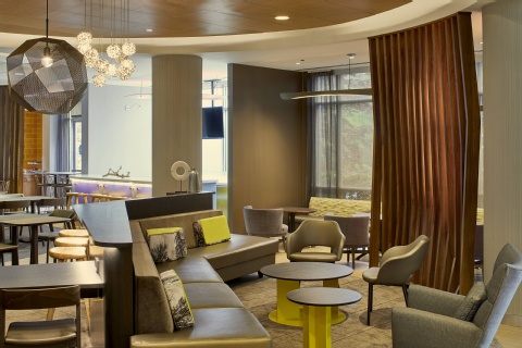 SpringHill Suites by Marriott Atlanta Airport Gateway , GA 30337 near Hartsfield-jackson Atlanta International Airport View Point 8