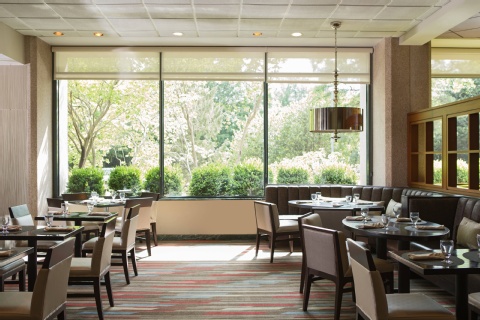 Washington Dulles Marriott Suites , VA 20170 near Washington Dulles International Airport View Point 19