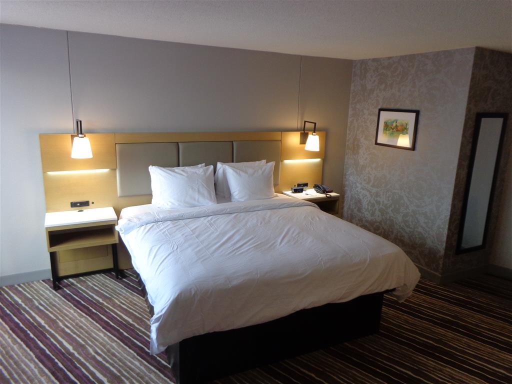 Holiday Inn Philadelphia Arpt-Stadium Area, an IHG Hotel , PA 19145 near Philadelphia International Airport View Point 25
