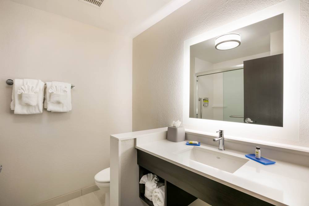 Holiday Inn Exp Stes Town Center