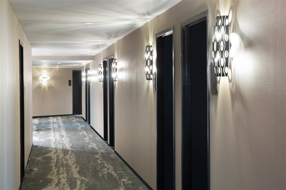 The Delaney Hotel